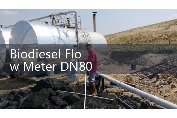 Biodiesel Flow Meter DN80 Wash Water Stripping Pipeline Layouts